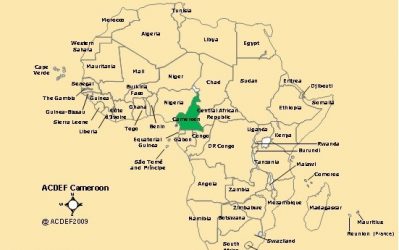 قرارداد ارائه فرمولاسیون و ساخت خط تولید با کشور کامرون
