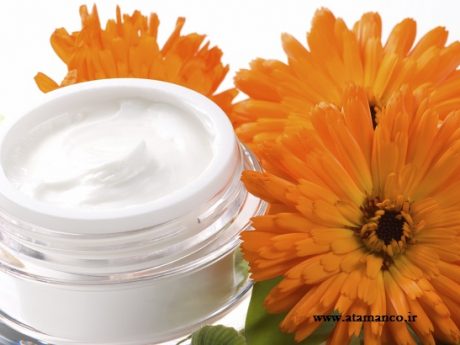 Closeup of jar of moisturizing face cream and fresh marigold flower